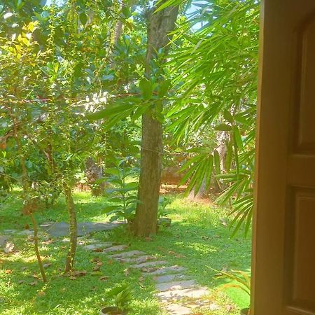 Mother'S Inn Homestay Kochi Εξωτερικό φωτογραφία